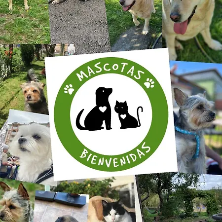 Appartement Precioso Atico Con Parking Privado. Vistas Al Rio *